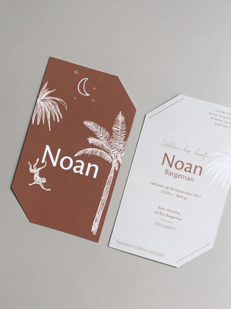 Noan-3