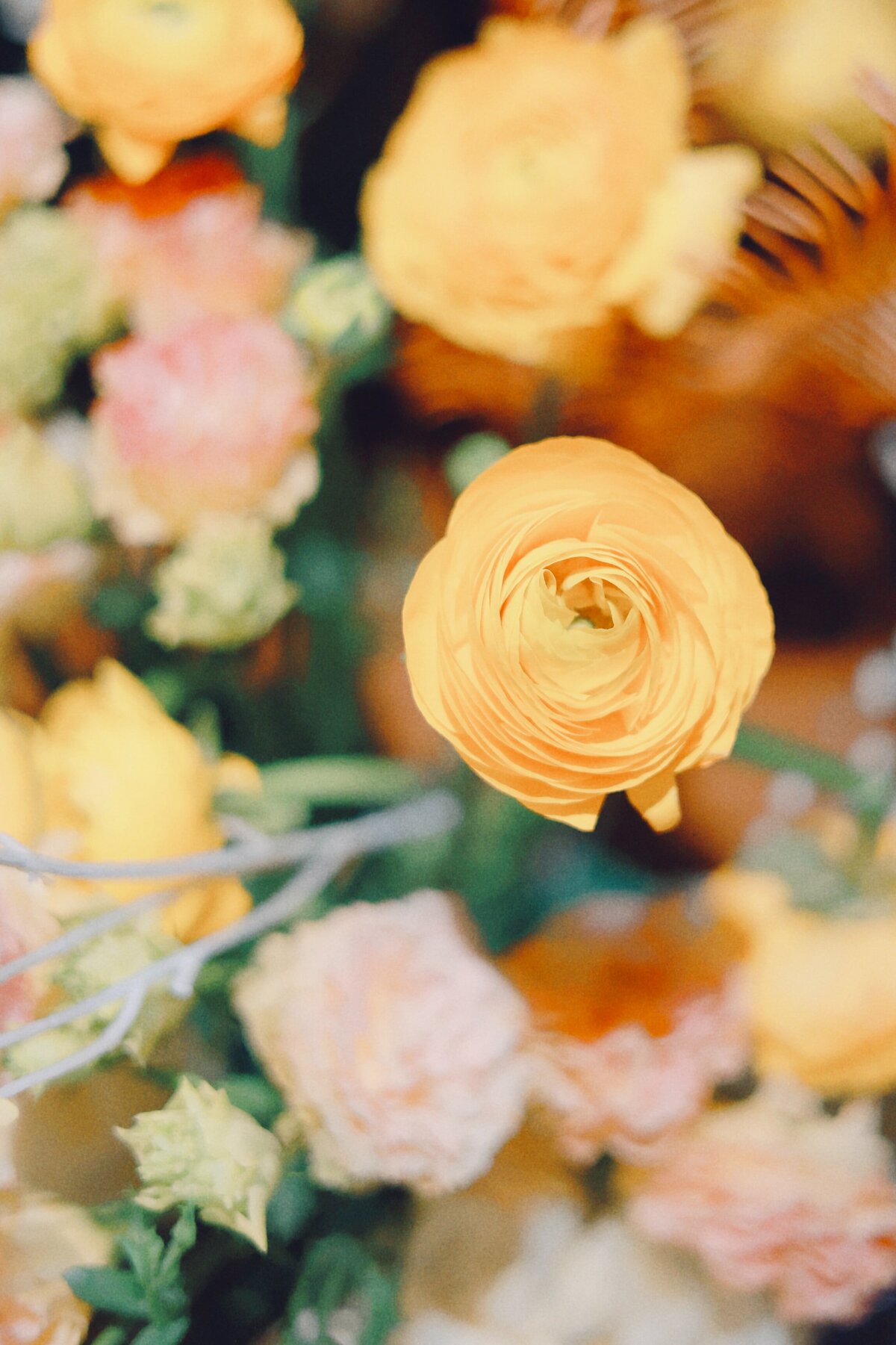 erin-with-wOTh7HnqT48-unsplash