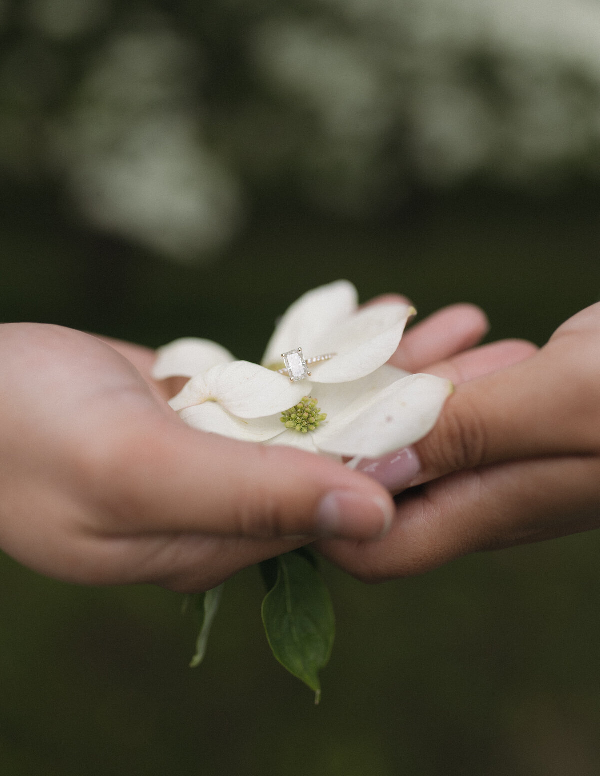 Engagement-17