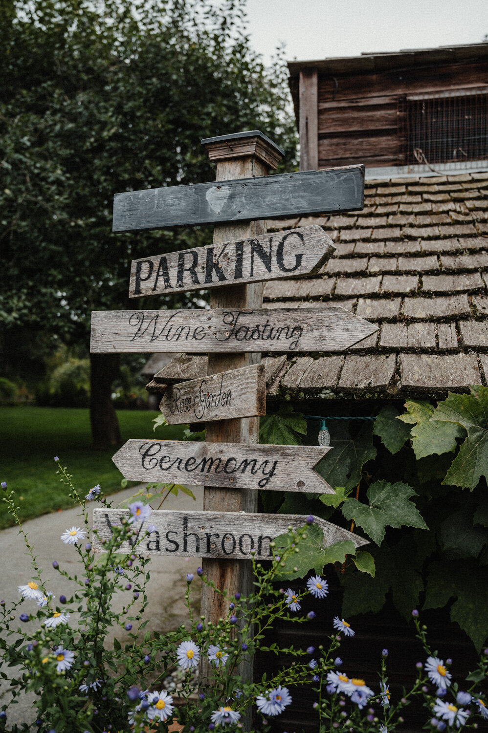 Stratling Vineyard-34