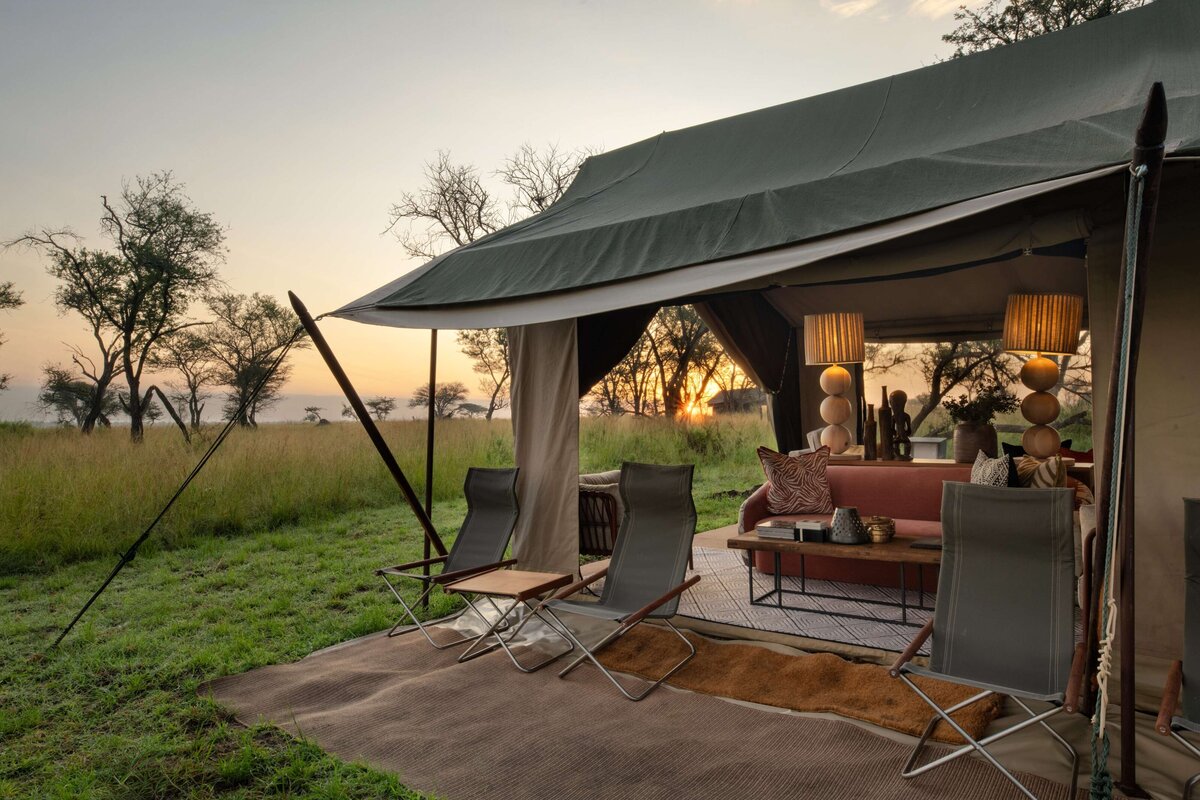 TAASA Migration Camp - Lounge Tent (5)