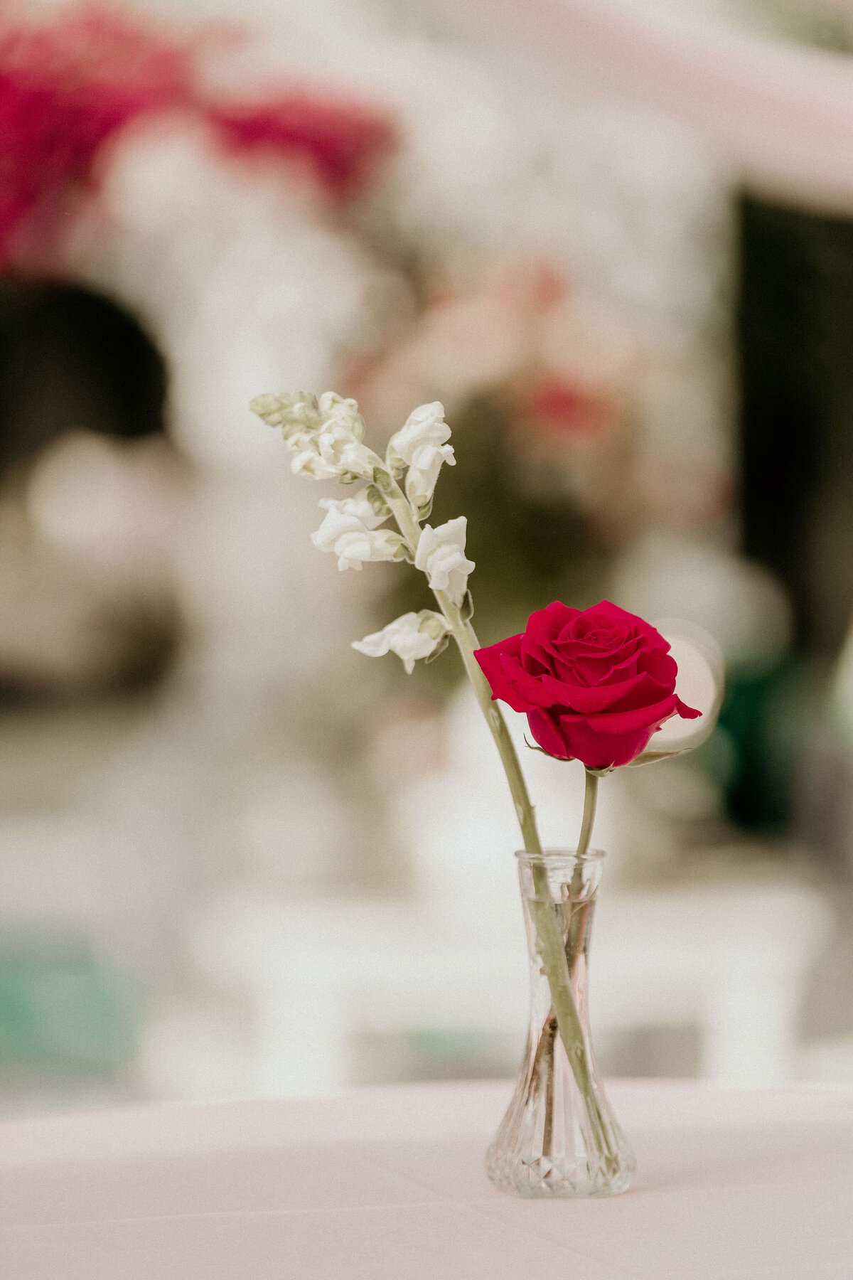 Sangeet_DiamondsEdgePhotography-58