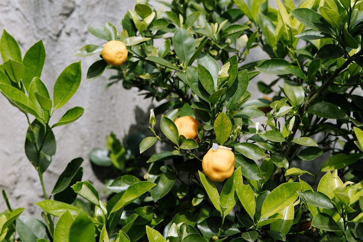 Tuscany Wedding Photography_33