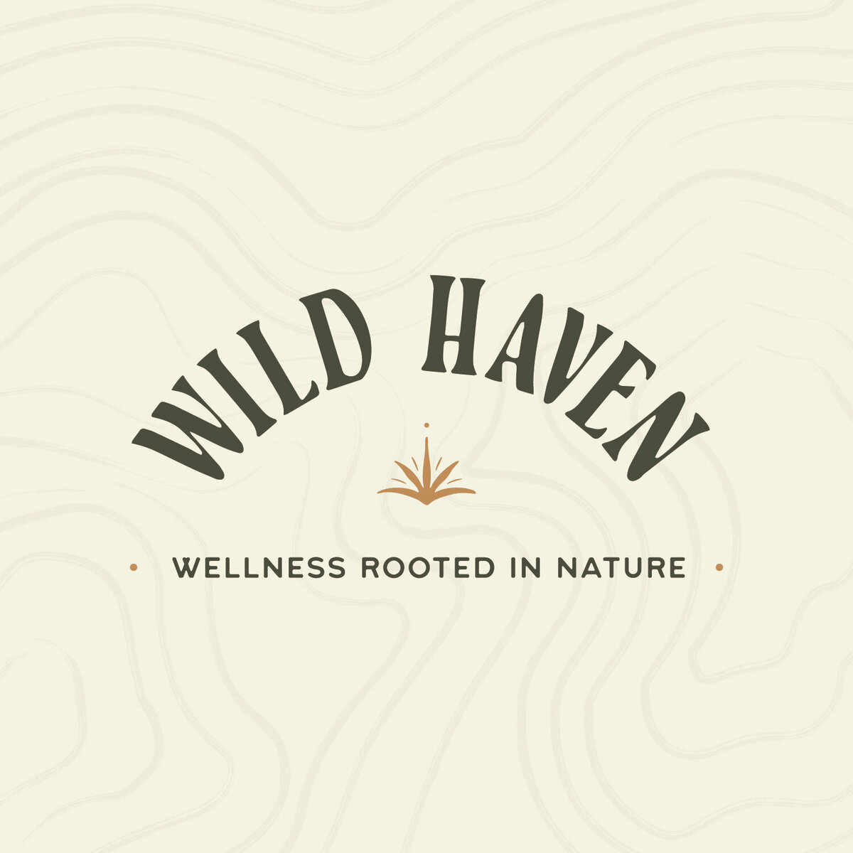 Logo Variation Mockup
