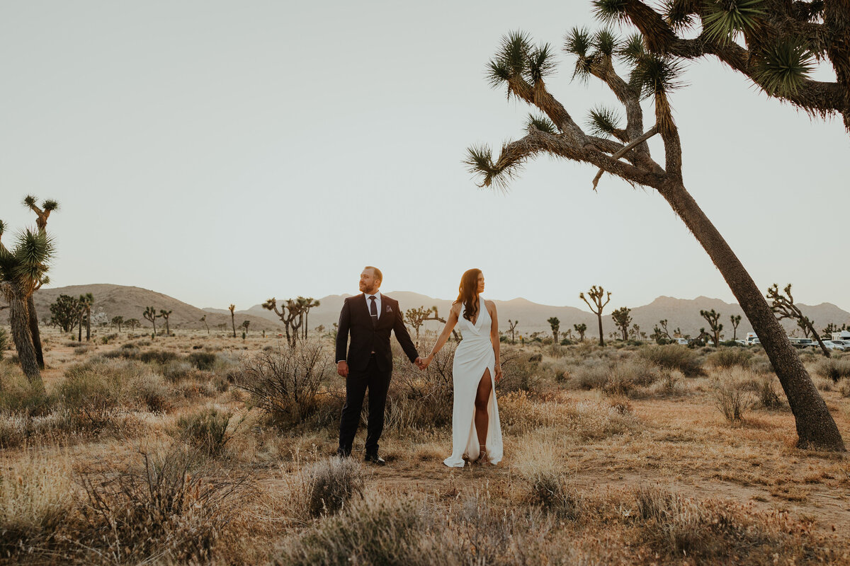 Joshua-Tree-California-Elopement-San-Bernardino-County-California-Weddings-02
