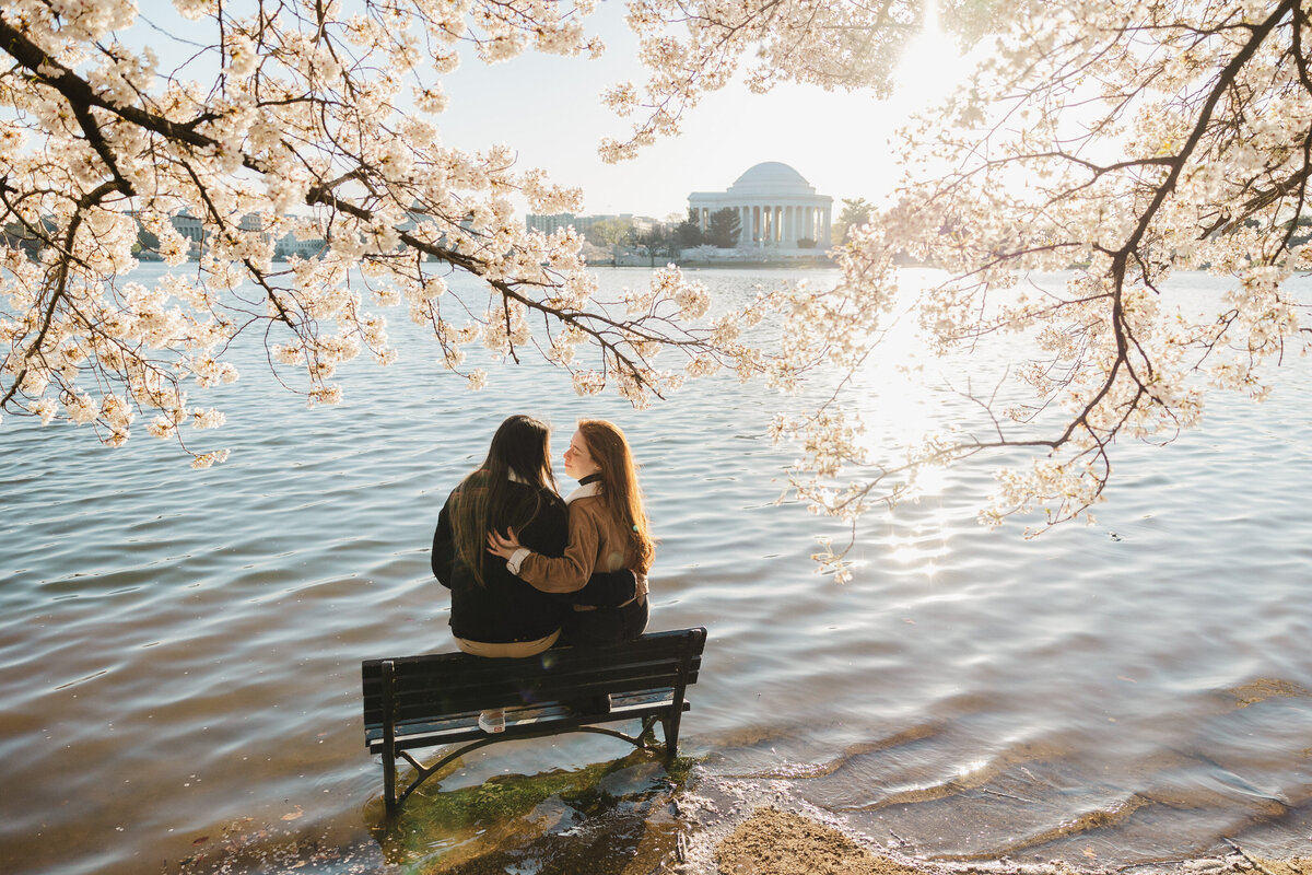Two people sit next to each other on a bench, with DC Cherry Blossoms in bloom.