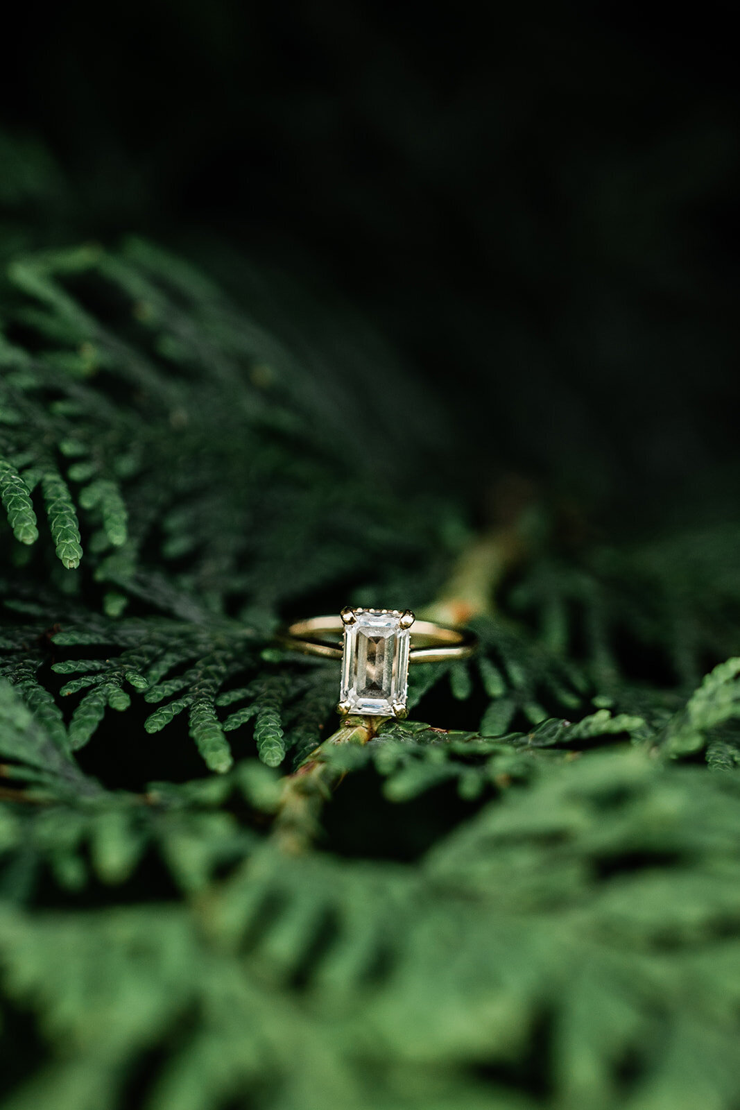 Tess and Ethan Engagement-195_websize