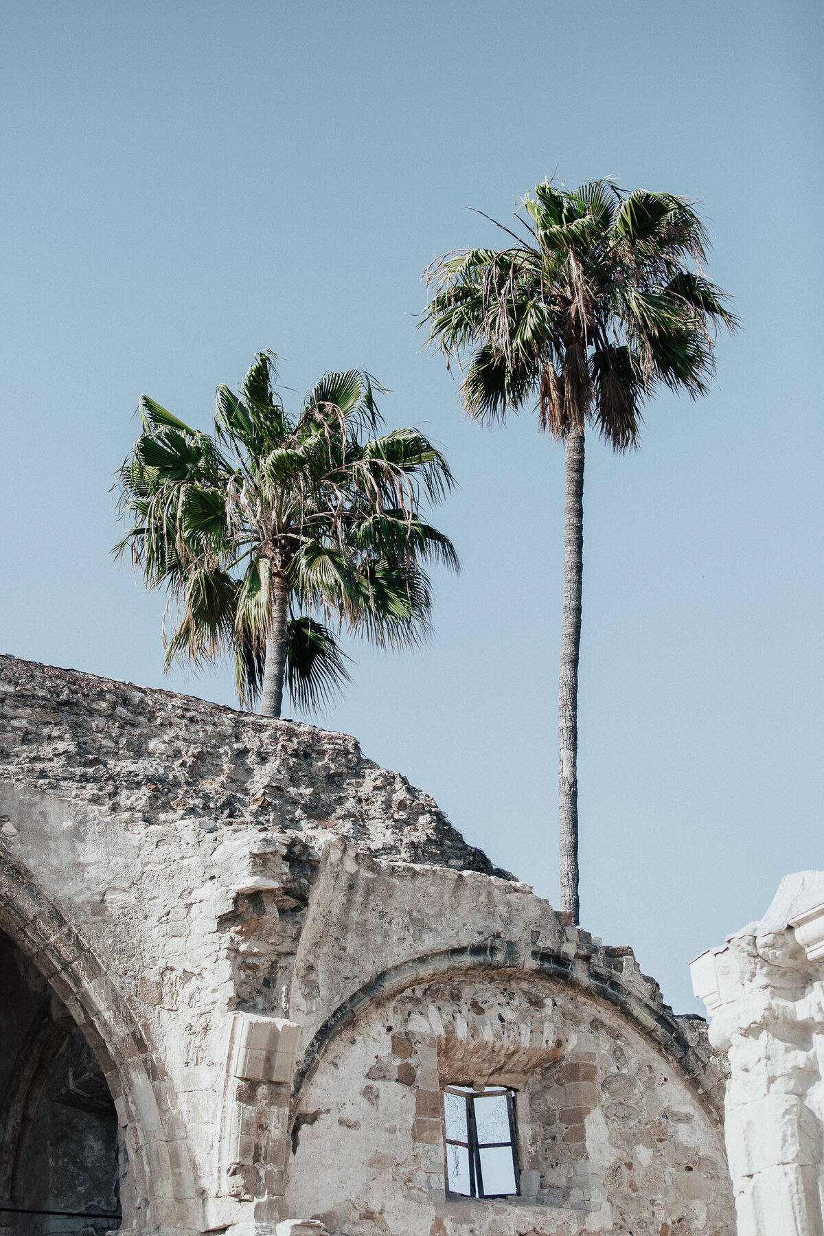 Palm trees and ruins in front of blue sky