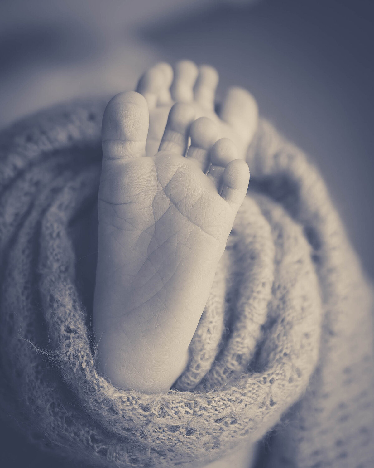 Details of a newborn baby's feet in black and white