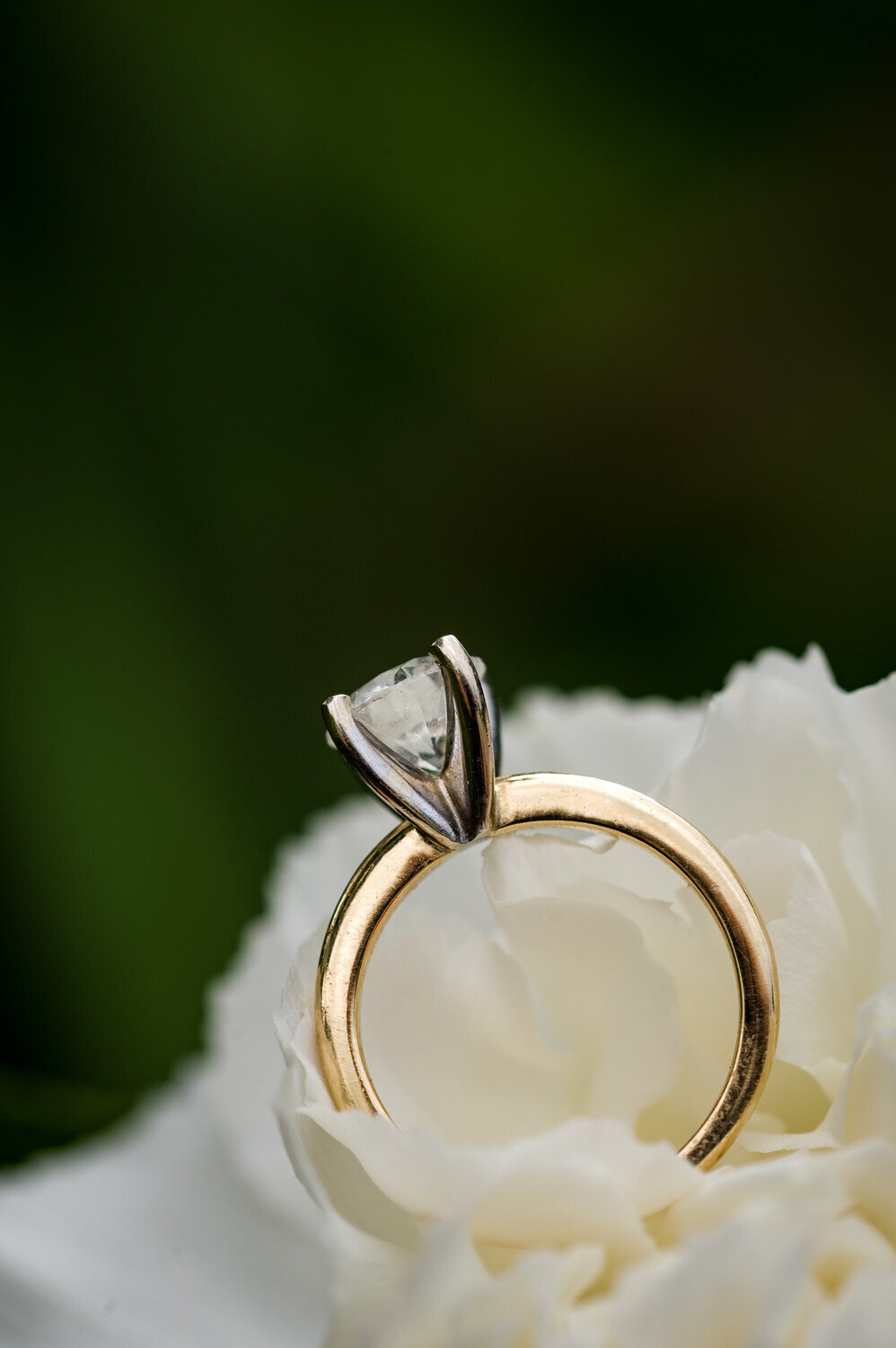 Engaged_Canton_087