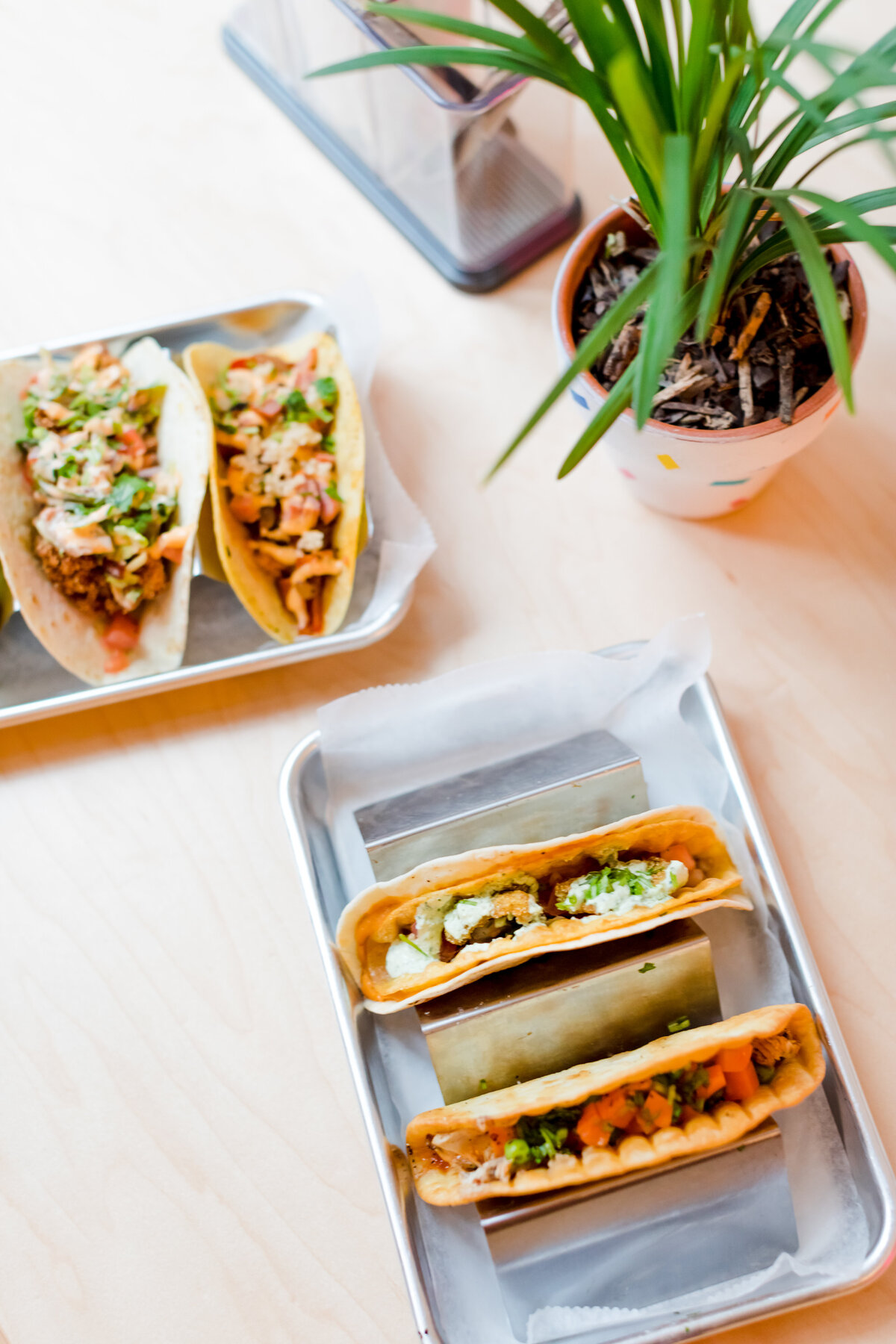soul_taco_Richmond_VA_food_fusion_restaurant_modern-5376