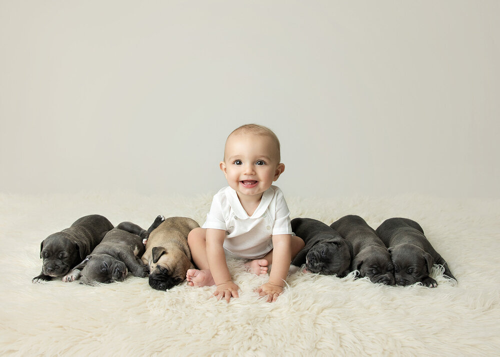 PETS_PUPPIESDOGSWITHBABY