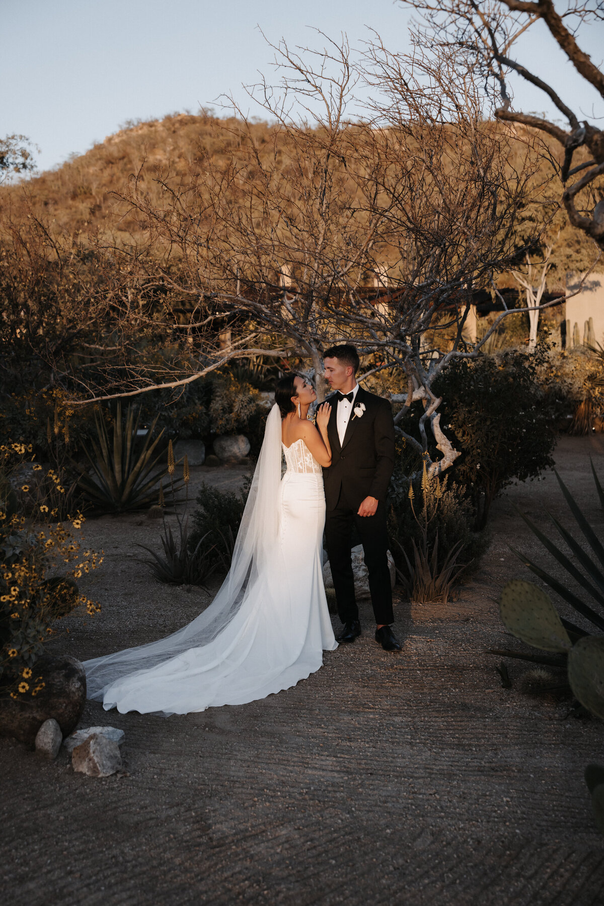Cabo-Wedding-Planners-321