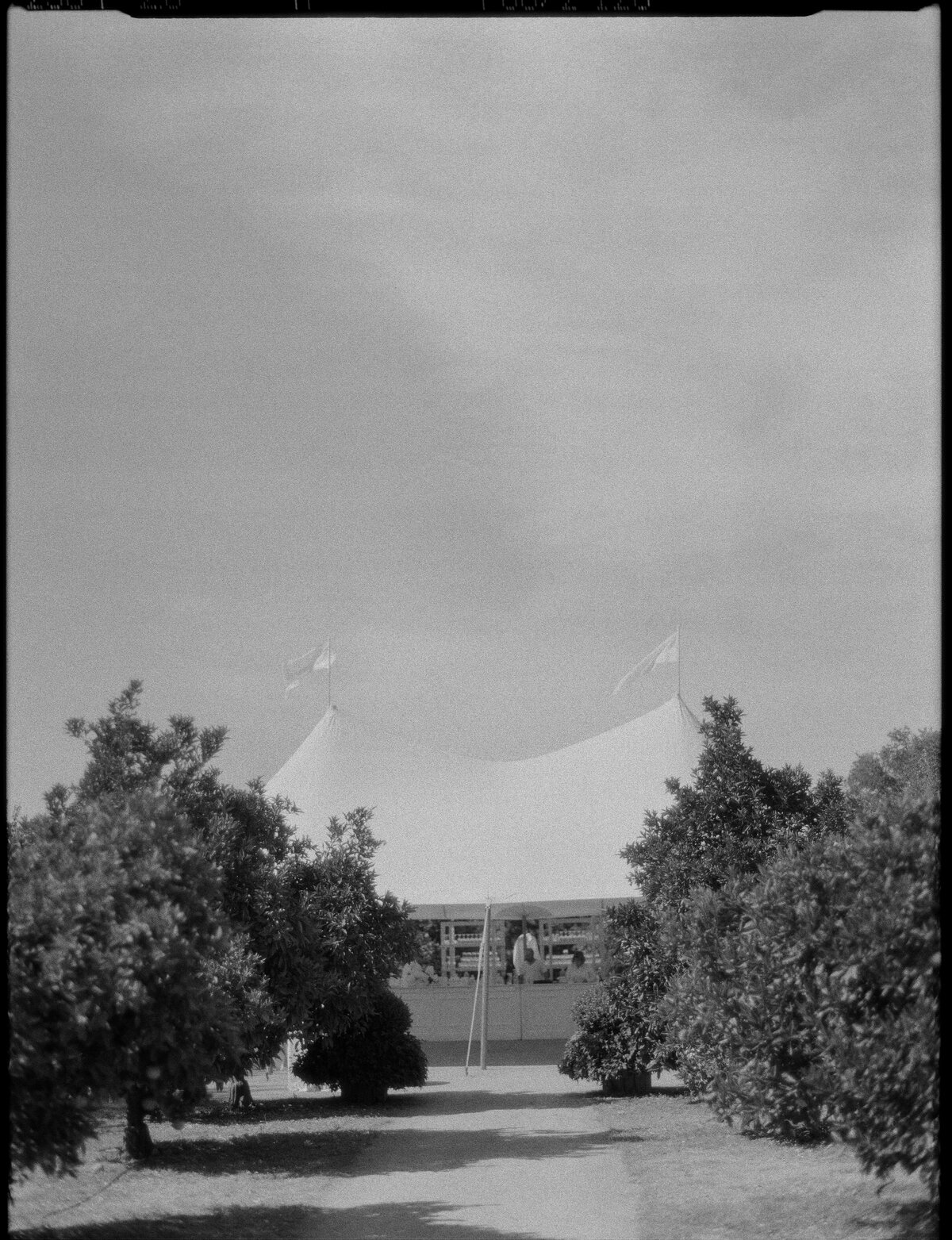 Film-5