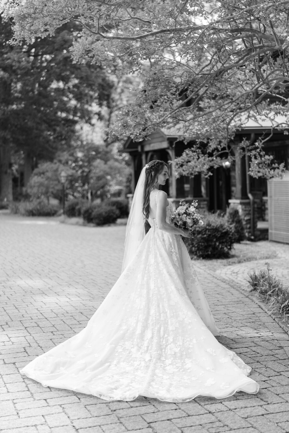 25033_3460_bw