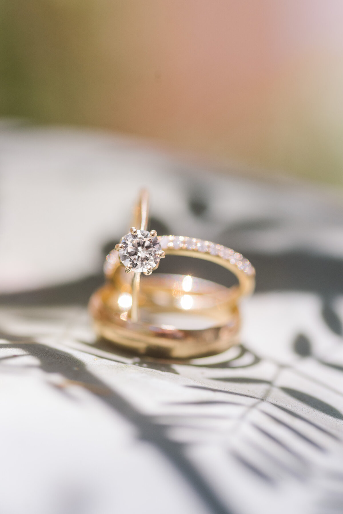 GALLERY-BK Wedding Day-246