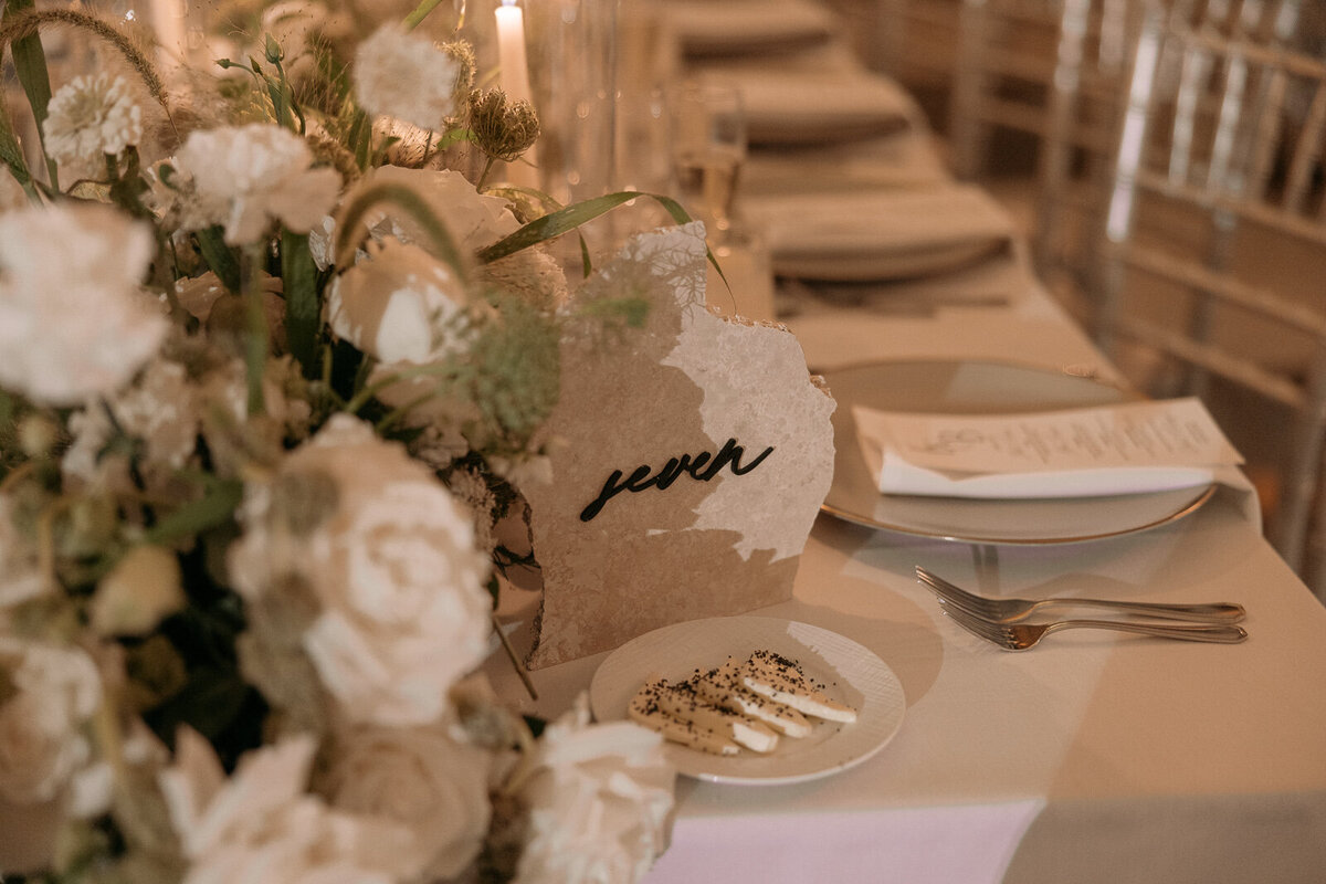Kassidy + Brandon Wedding - Ellie Mae Photo-674