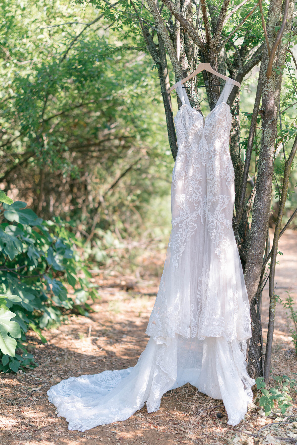 Alyssa + Brandon - Pilot Hill, CA-1