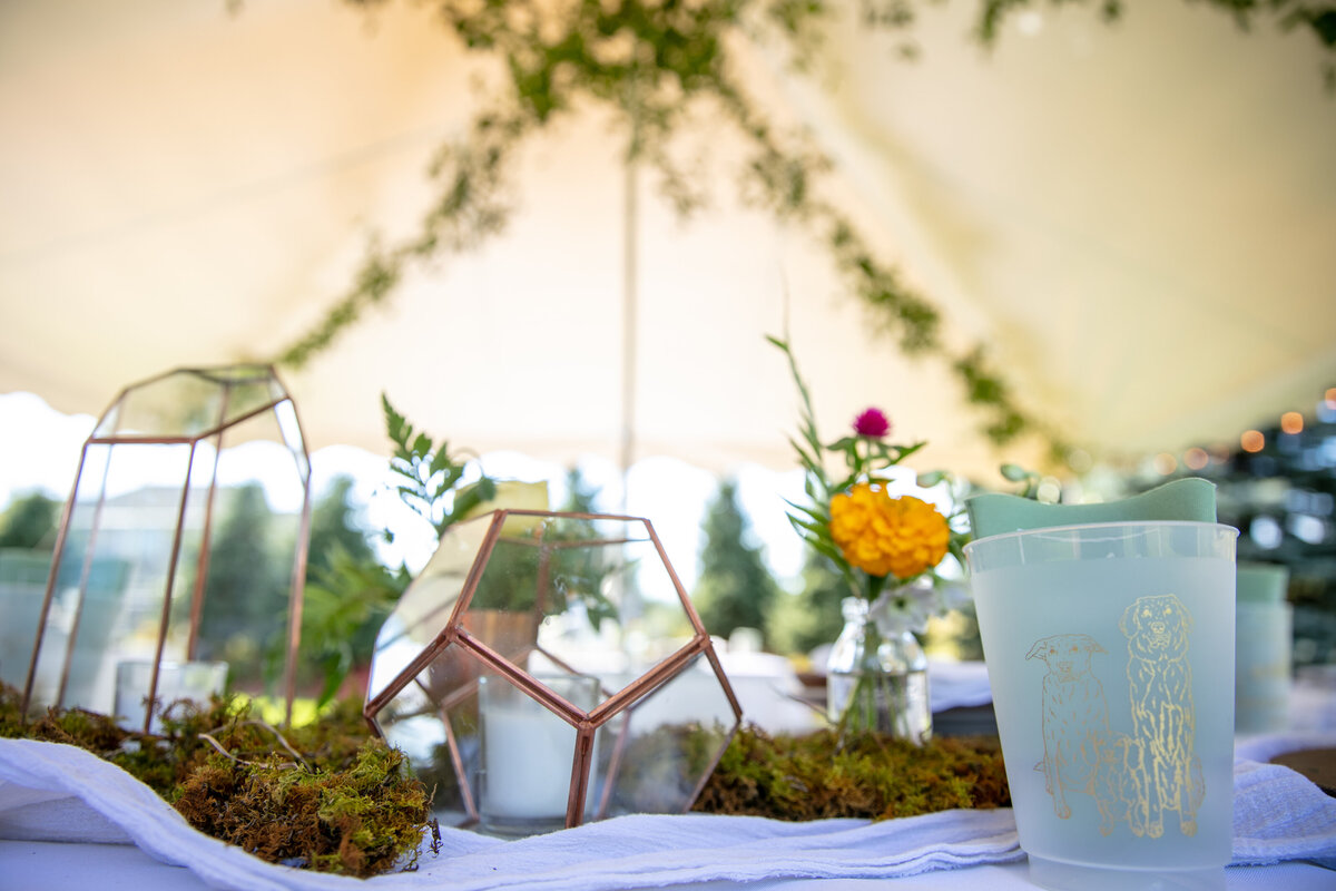 AnacaCody_Wedding_067