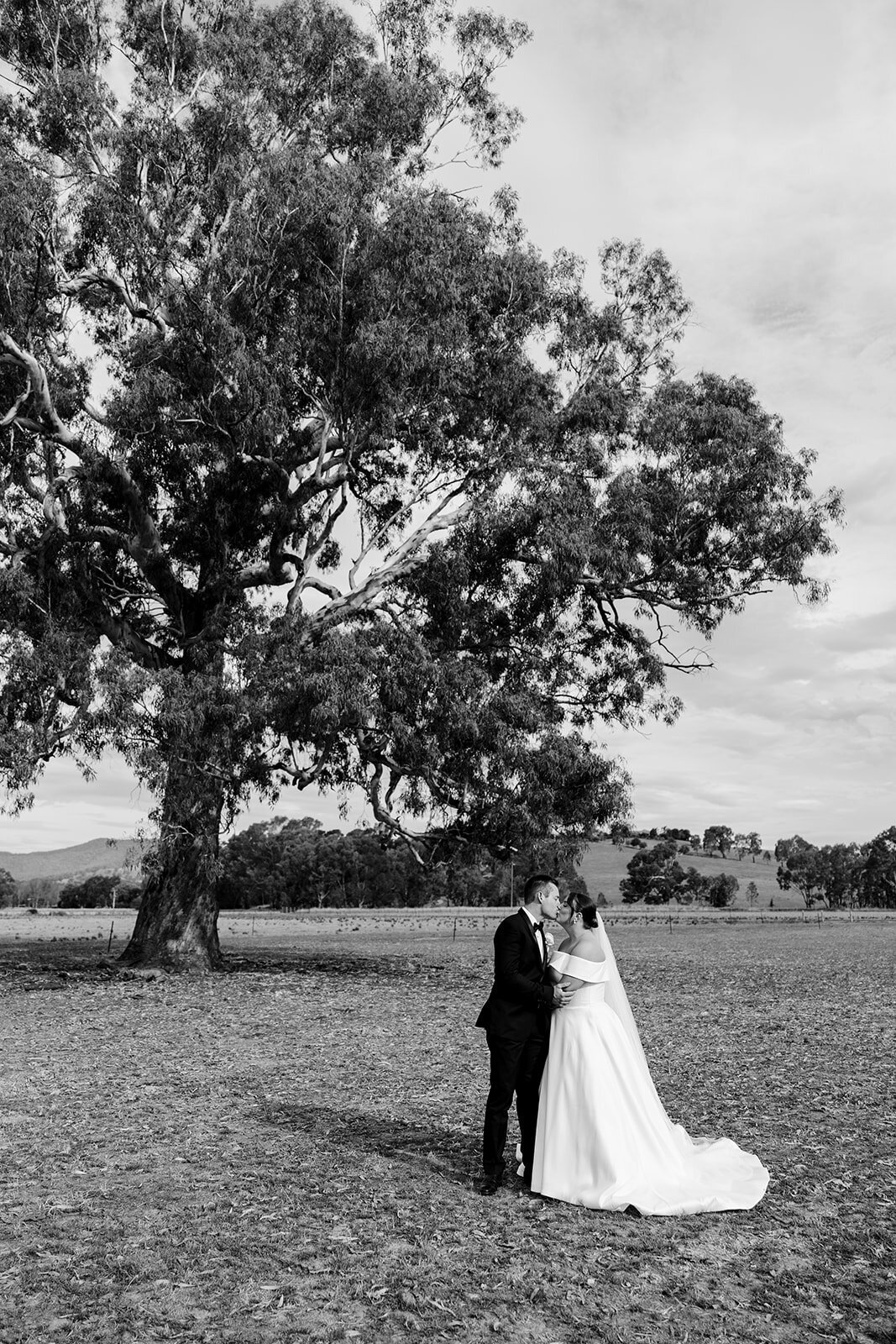 Kaitlyn and Mason - 15.03.2025 - JessicaCarrollPhotographer-566_websize
