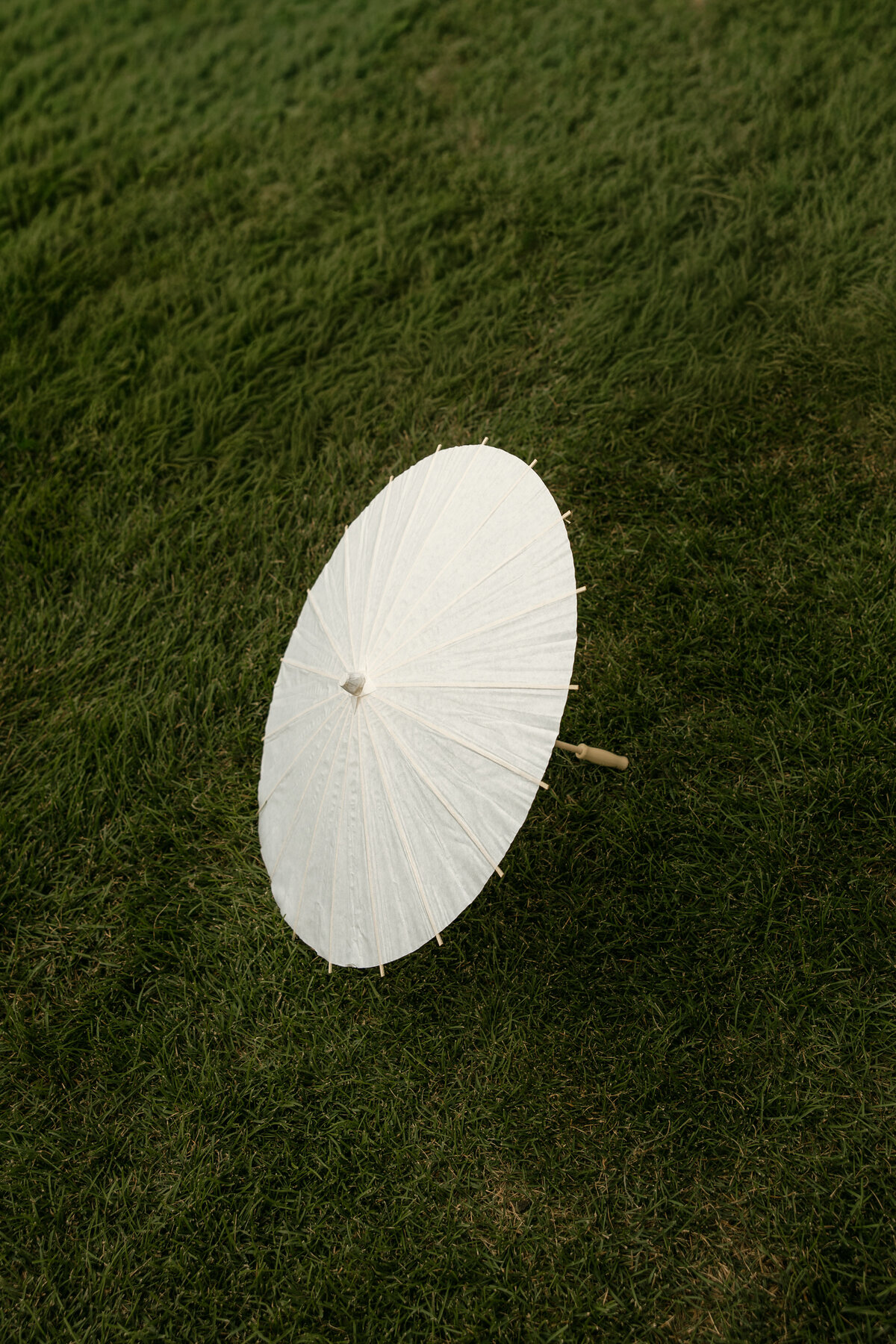 Abigail Anne Photography Storytelling Wedding Photographer in Colorado and Chicago — Wedding Photo 165