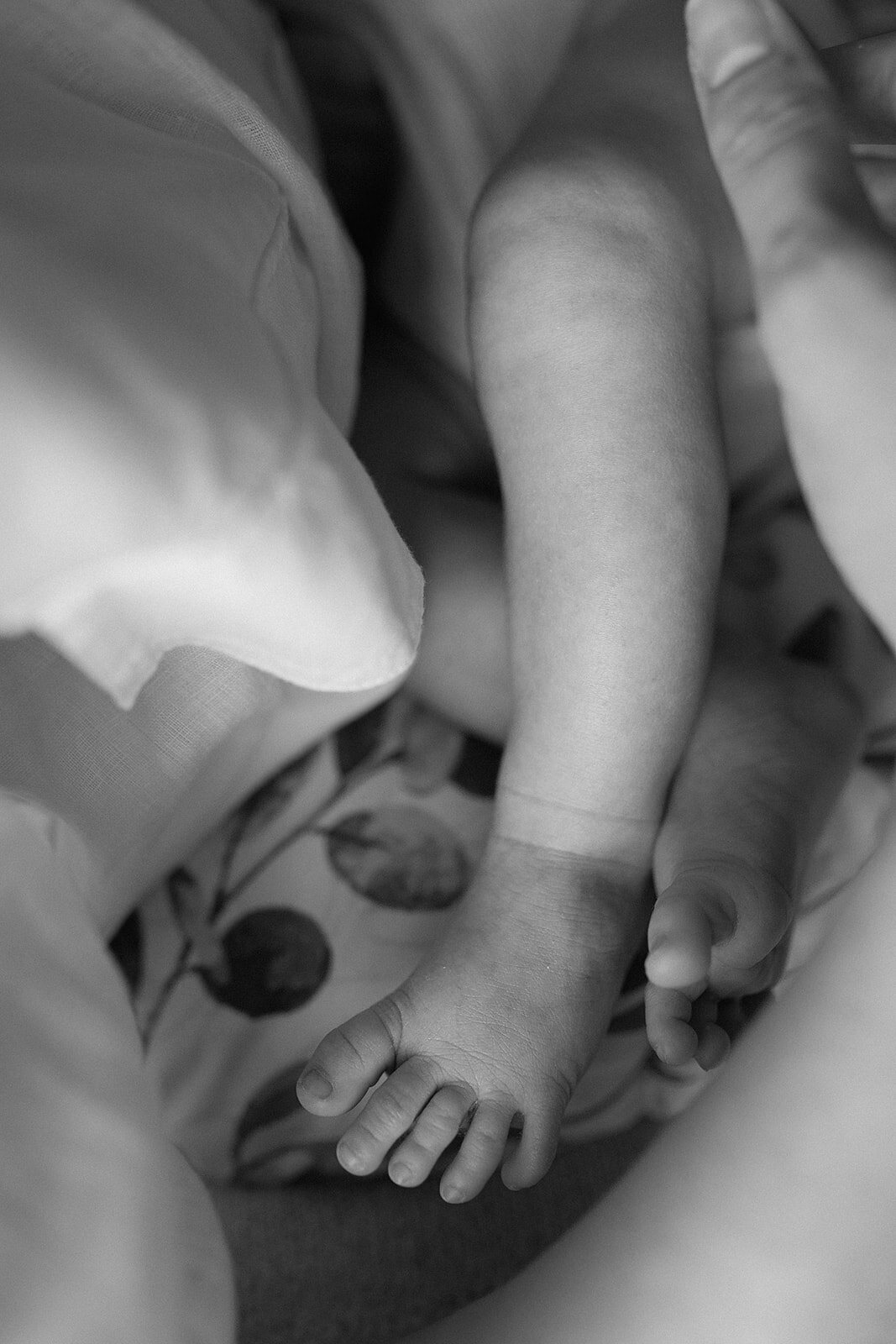 Calgary newborn photographer Laura Karl 15