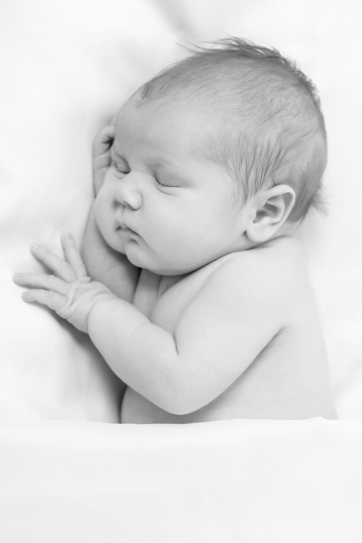 Newborn baby black and white portrait in Kennebunk Maine