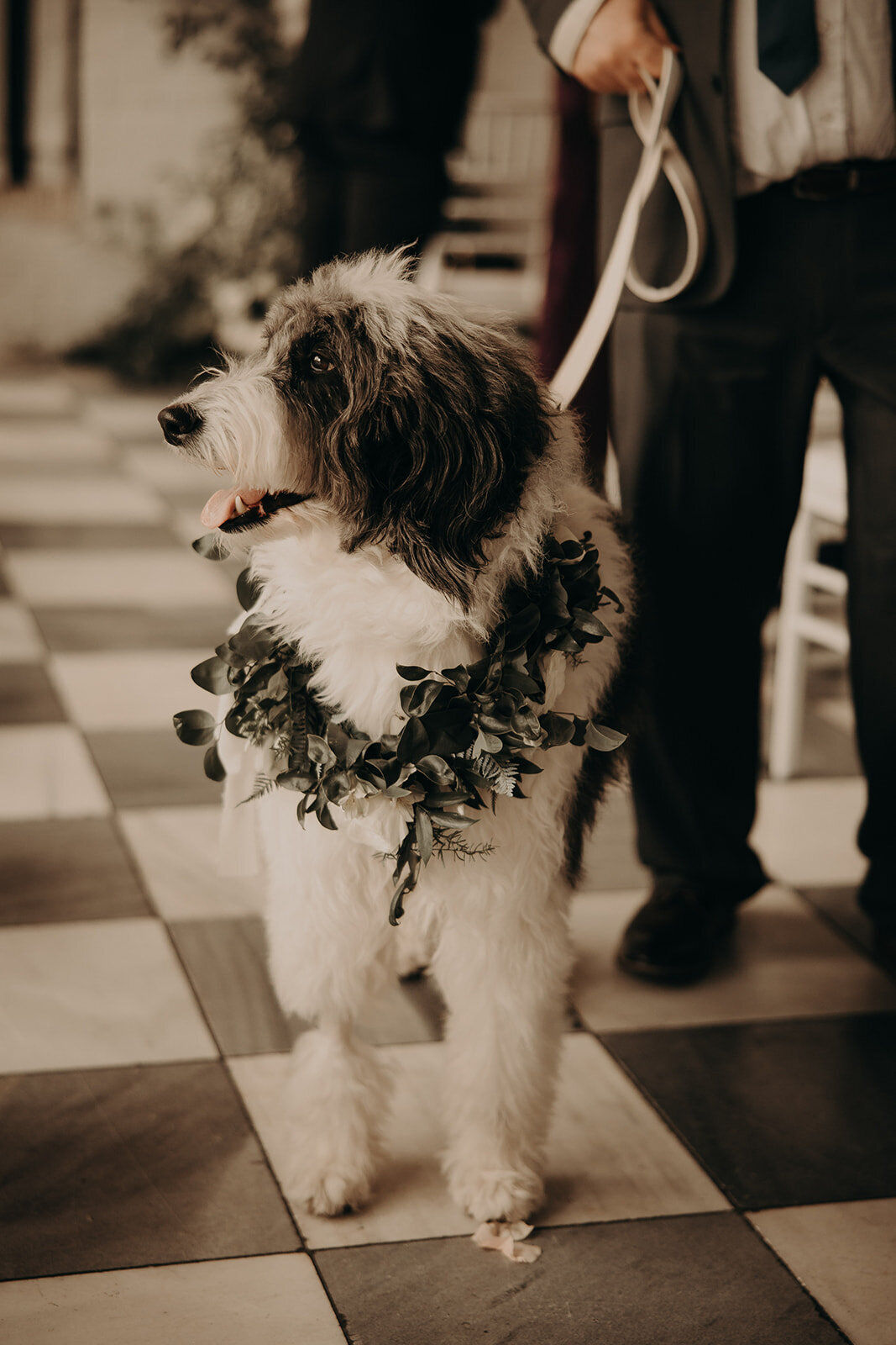 Tyler-Hillary-Wedding-The Vanderbilt-Newport-RI-181