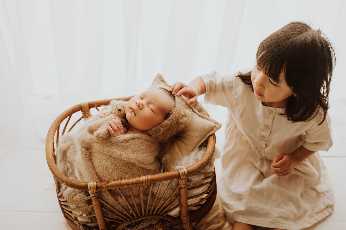 Sacramento, Elk Grove, Florin, Vineyard, Roseville, Davis, Rancho Cordova, East Sacramento, Cameron Park, Folsom, Antelope Newborn Photographer, Baby Photographer, A Little Goose