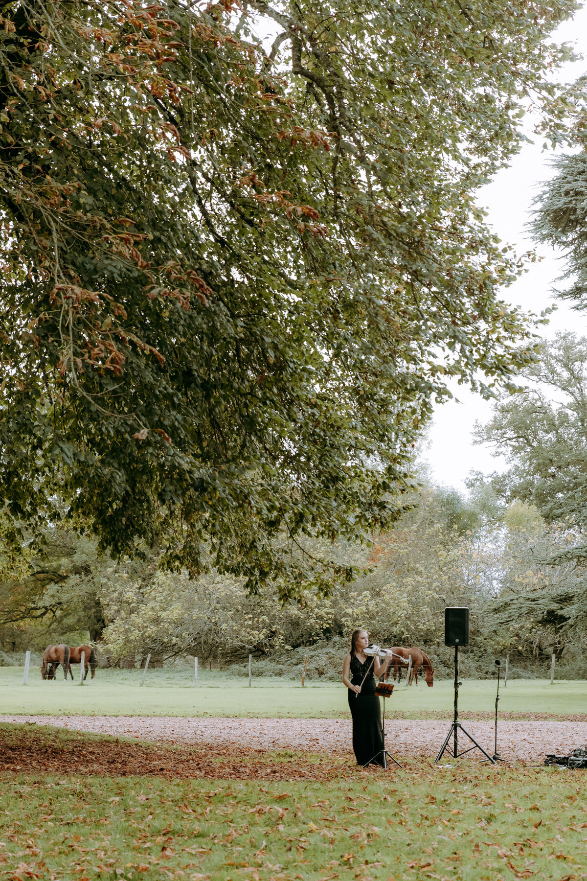 ddphoto-287