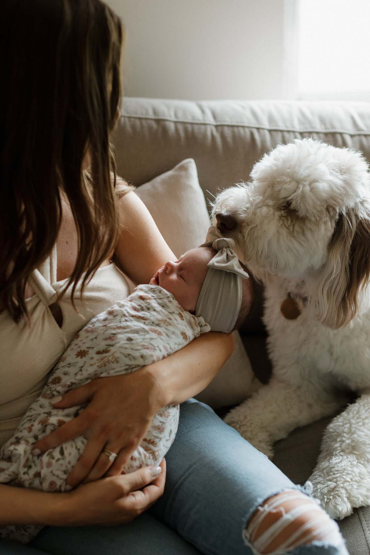 Indianapolis lifestyle family photography with newborn and dog