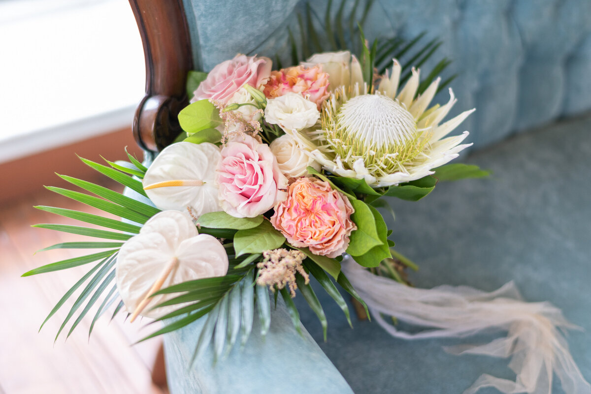 TropicalMasqueradeStyle068_HR_4k_wb24