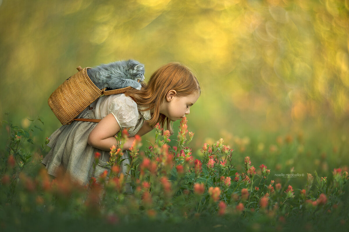 Girl in flower meadow wearing a kitten in a wicker backpack.