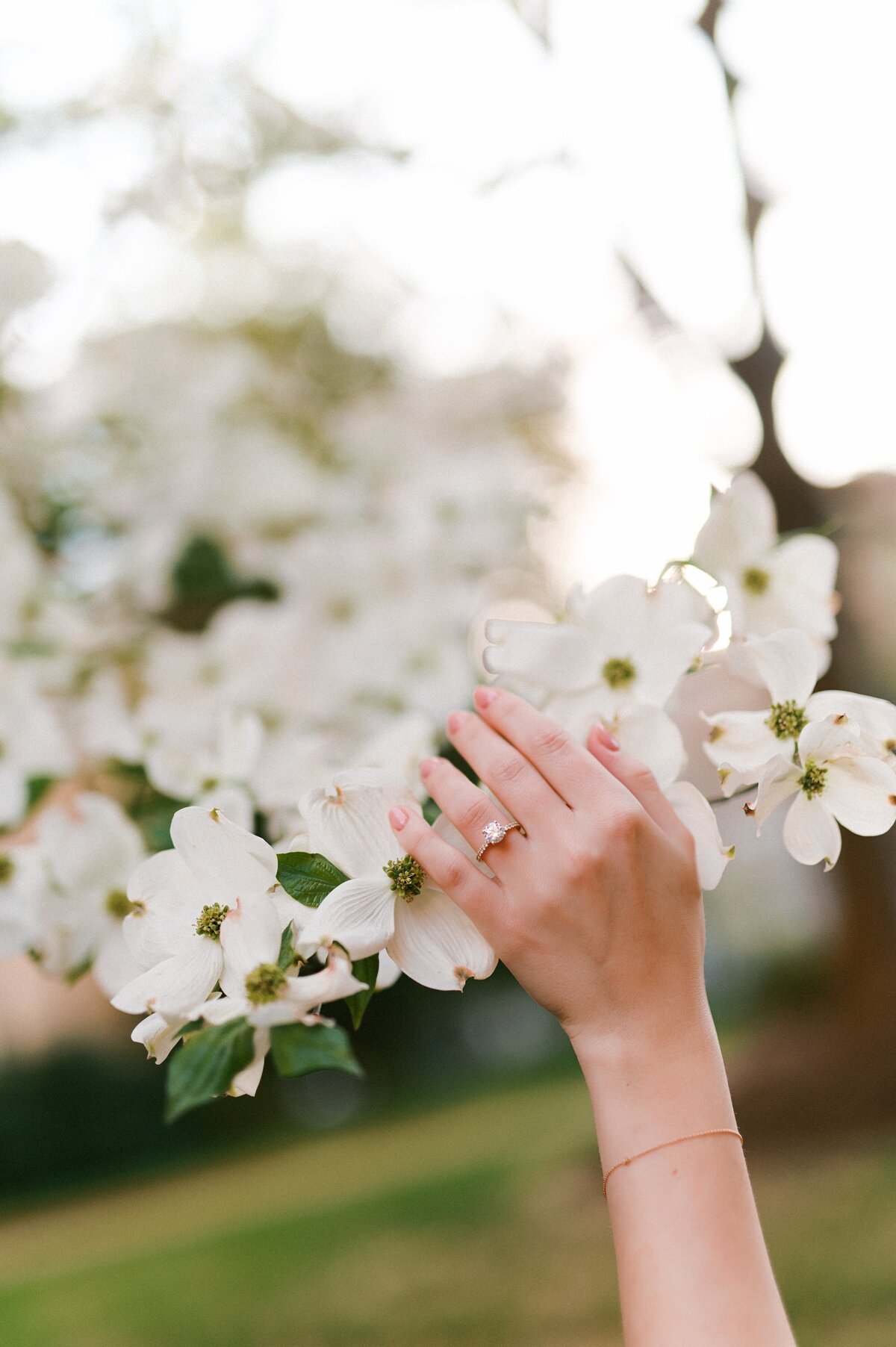 Marina and Kyle Engagement 2025 Chelsea Schmidt Photography-89