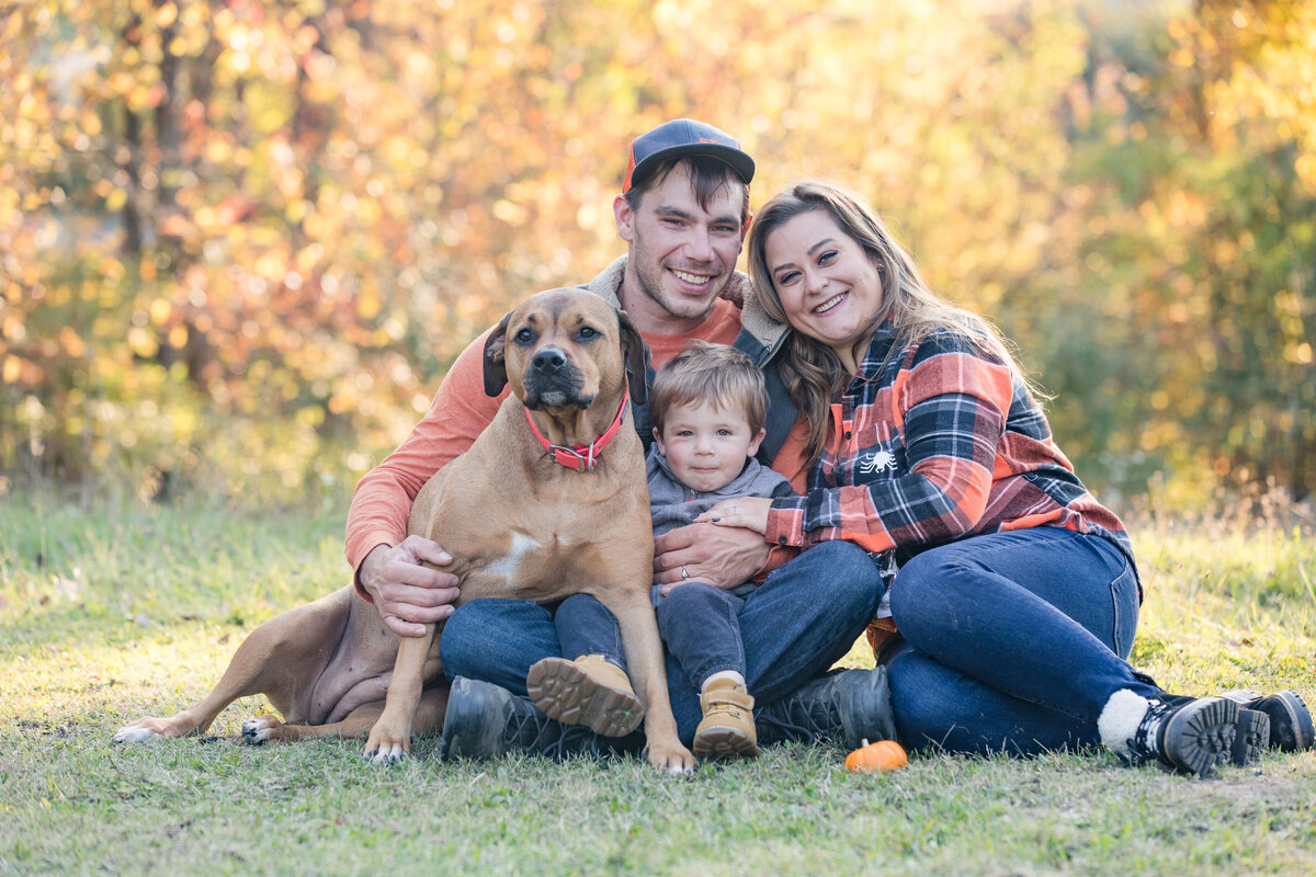 family photos dog fall leaves yellow orange michigan photographer