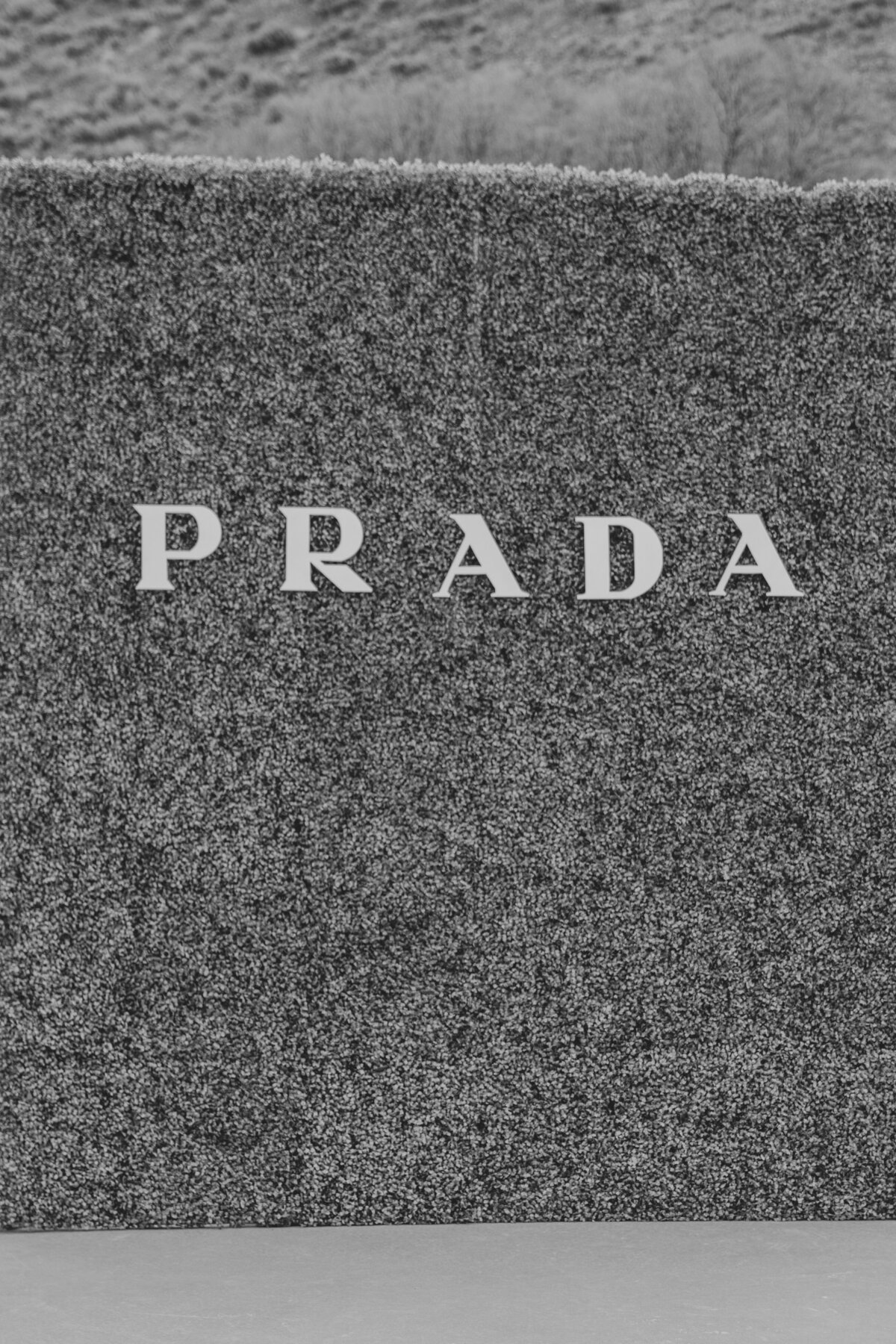Prada Portraits Foxtails Photography -04