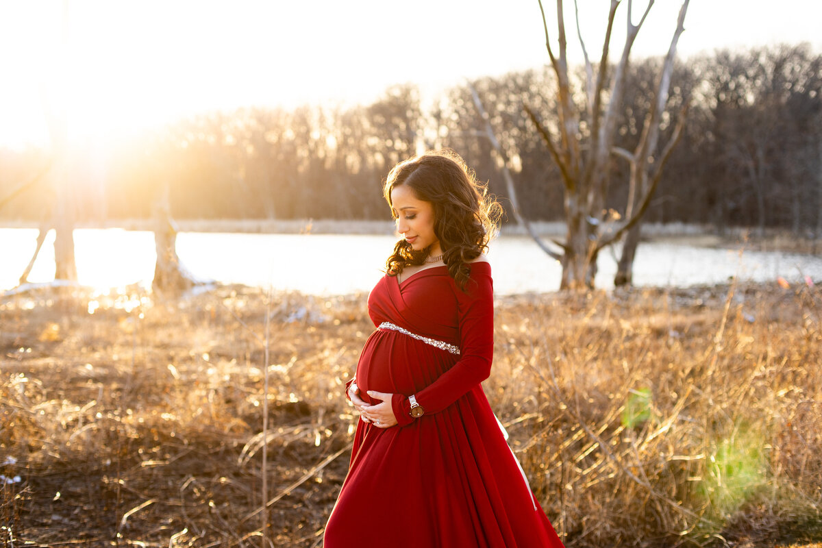 chicago suburb maternity photographer, family portrait fall mini holiday baby photography 