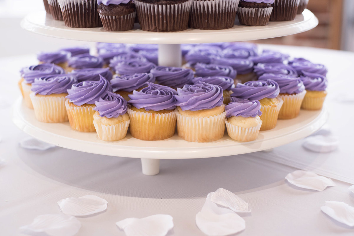 brooksidegardensweddingphotographer-428
