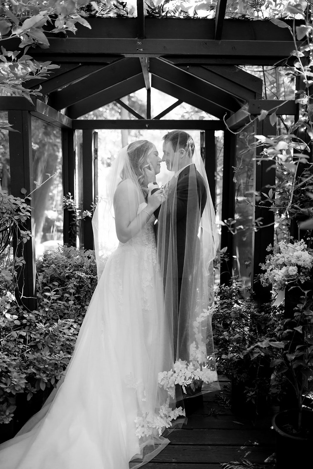 twin oaks san marcos wedding 91