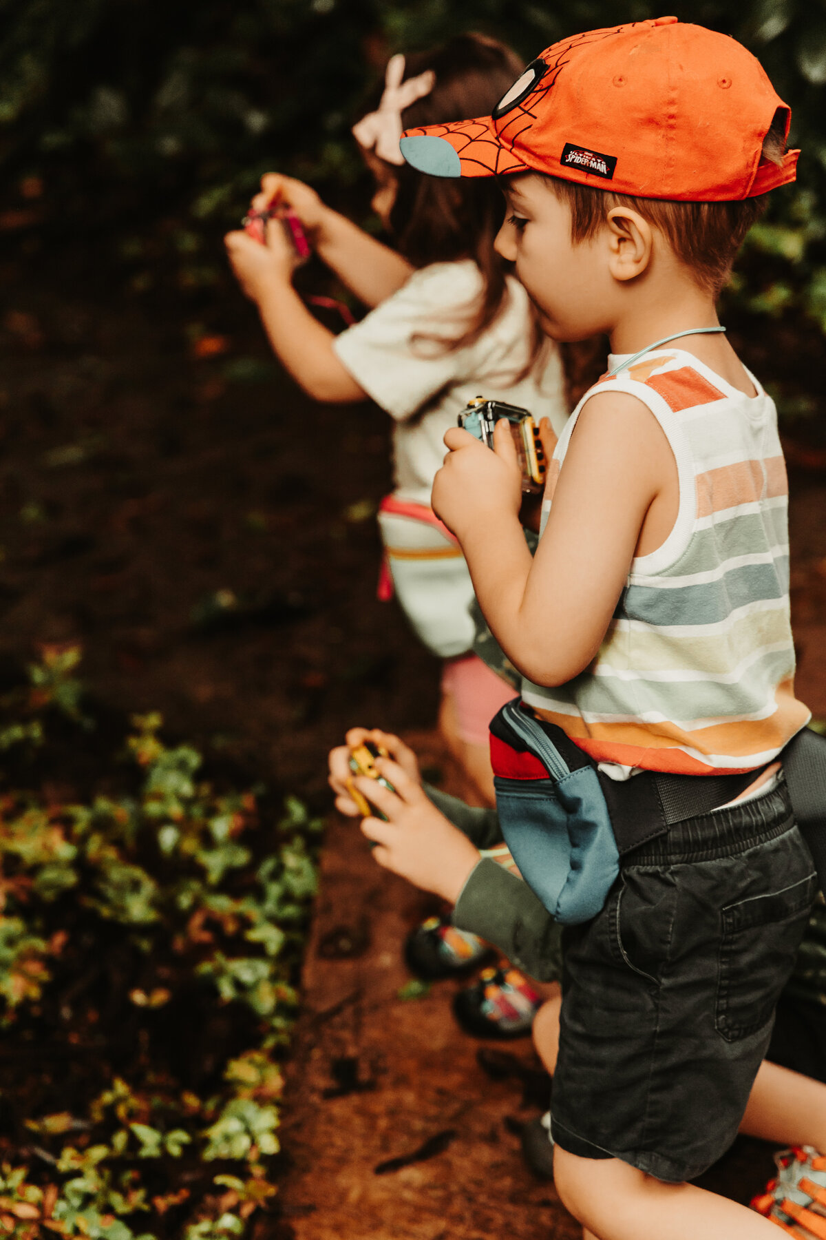 Nature photography - Amanda Nicholle Photography