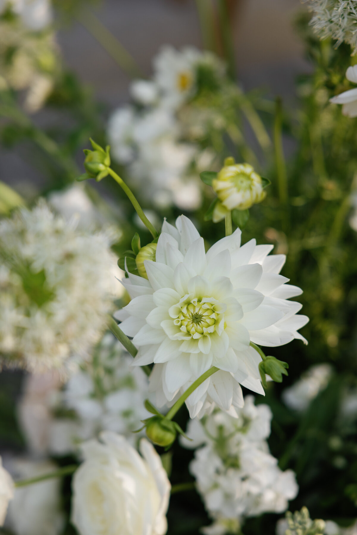 dainty-organic-etheral-floral-arrangements-brooklyn-wedding-planner-sarah-brehant-events