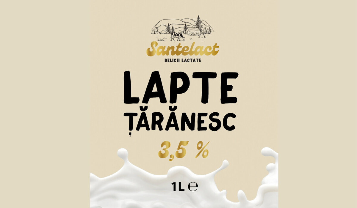brand design for dairy company14