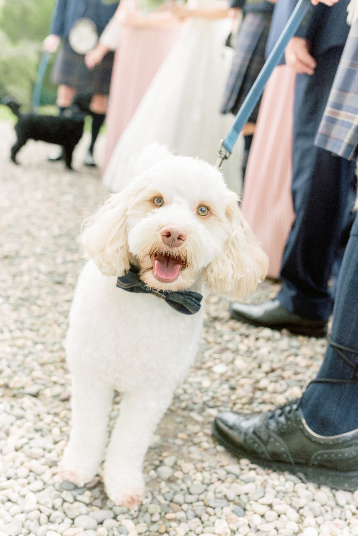 Newhall-Estate-Wedding-JCP_6948