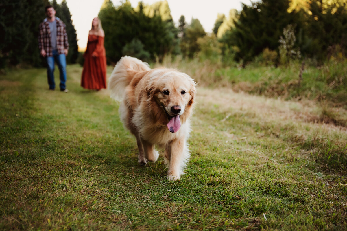 OliviaB_Fall2025_018