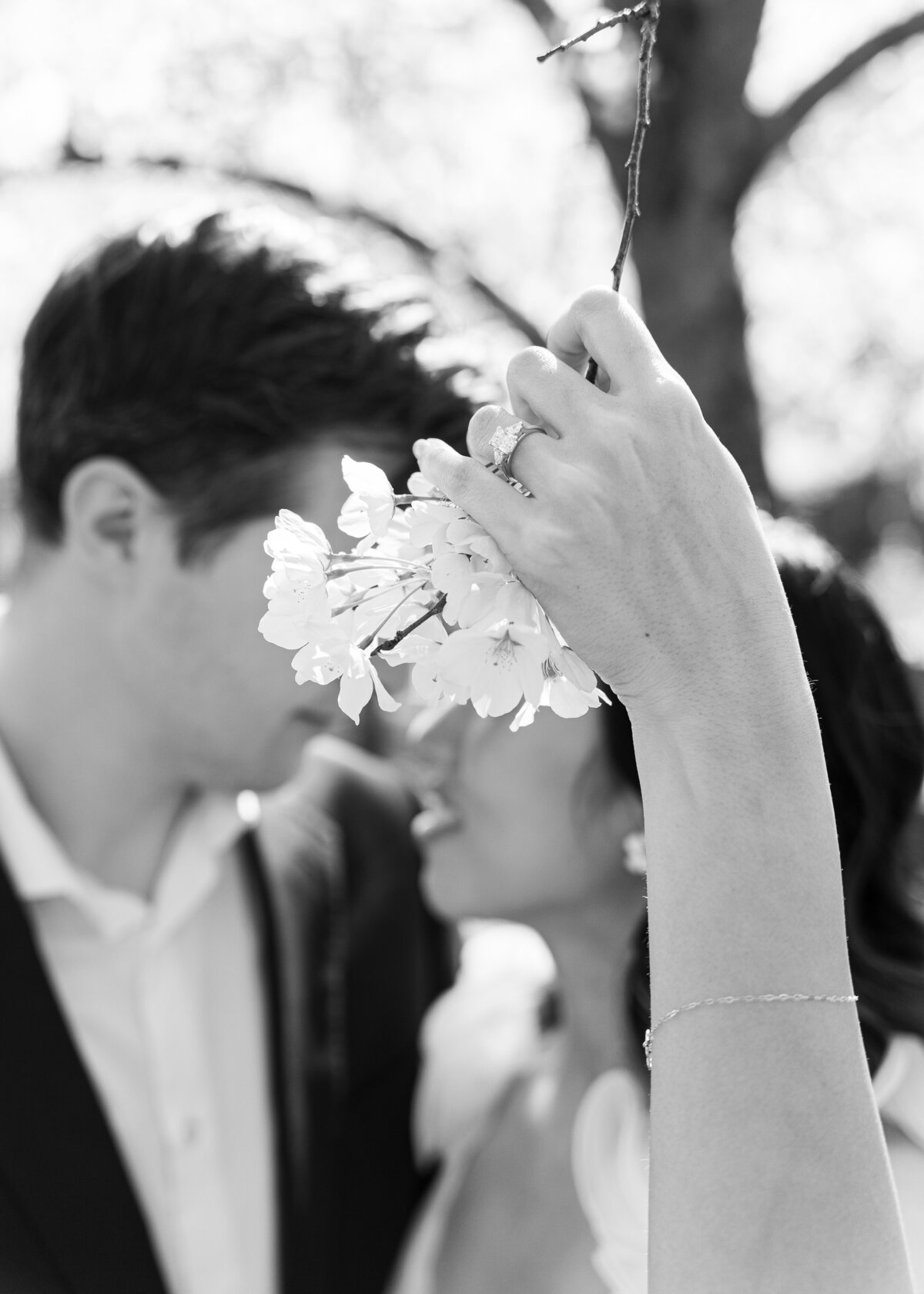 romantic engagement session at Meridian Hill Park in D.C. during cherry blossom season