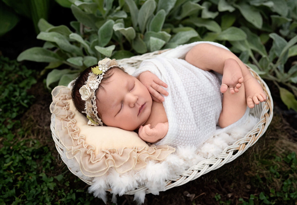 toronto-newborn-photographer-900 (9)