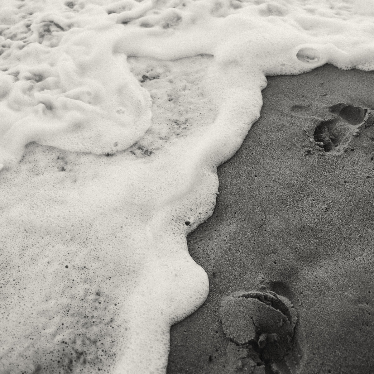 Ella-Denniston-Malibu-118