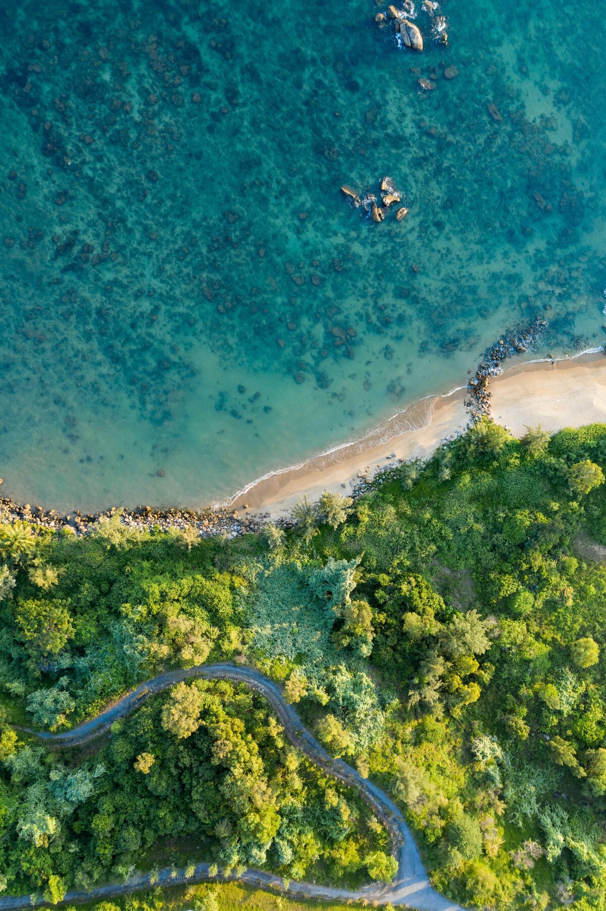 kiril-dobrev-v63UL8s28Ew-unsplash