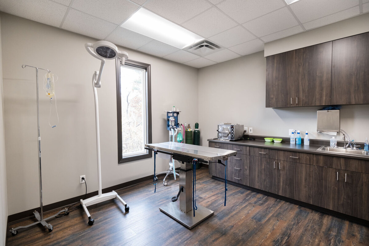 Saving Grace Animal Hospital-2