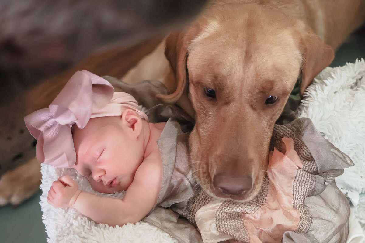 VandertieFamilySession_-20